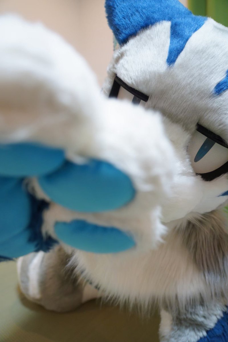 #世界猫の日
#FursuitFriday