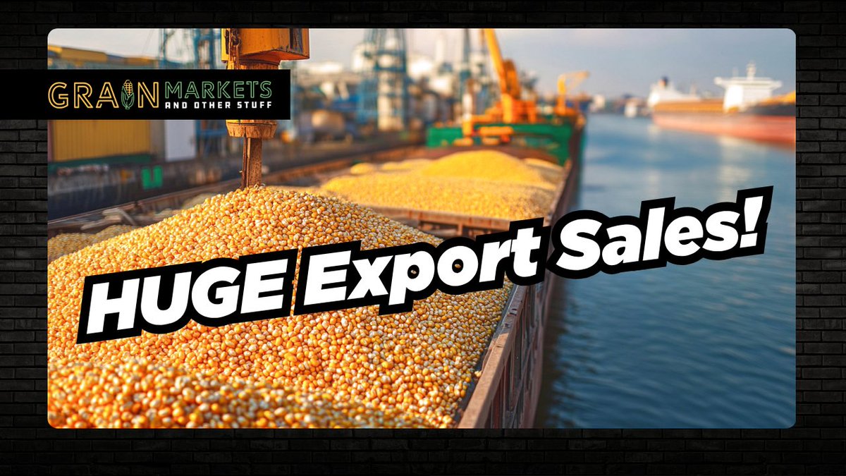 Joe Vaclavik (@standardgrain) on Twitter photo HUGE Corn Export Sales - What If the Crop Isn't There?? youtu.be/cqJYCk4ulDQ?si… via <a href="/YouTube/">YouTube</a> <a href="/BJSplitt/">Brian Ω 🌽🫛🥩🥓📈📉</a> <a href="/kenziej89/">Kenzie Johnston</a> <a href="/AgMarket_Net/">AgMarket.Net®</a> <a href="/CropProphet/">CropProphet</a> HUGE Corn Export Sales - What If the Crop Isn't There?? youtu.be/cqJYCk4ulDQ?si… via <a href="/YouTube/">YouTube</a> <a href="/BJSplitt/">Brian Ω 🌽🫛🥩🥓📈📉</a> <a href="/kenziej89/">Kenzie Johnston</a> <a href="/AgMarket_Net/">AgMarket.Net®</a> <a href="/CropProphet/">CropProphet</a>