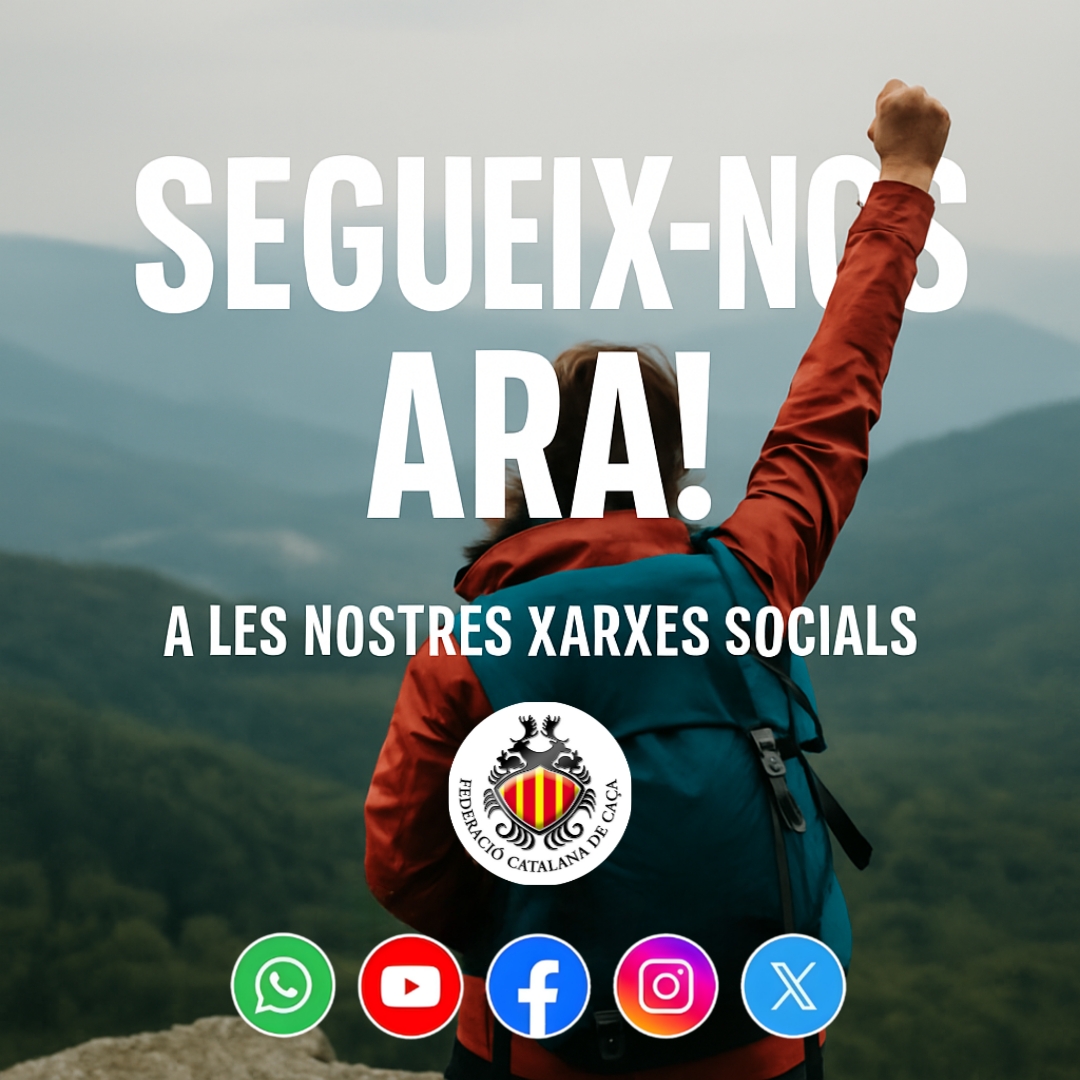 Federació Catalana de Caça tweet media