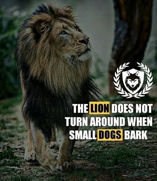 Bark louder, you sad little pricks. Maybe someone outside your echo chamber will hear you.

#WSWForever