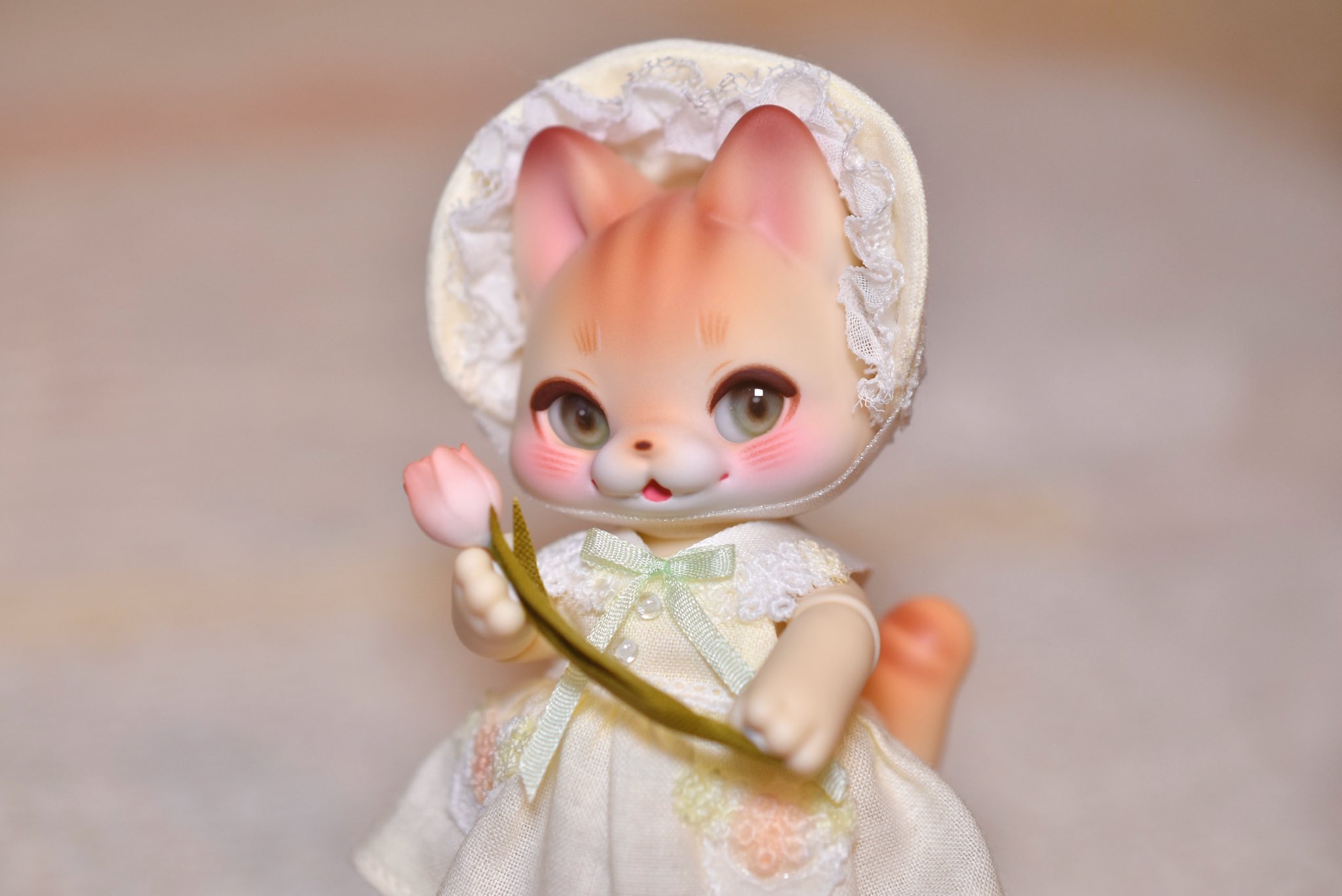 みんみん❀可愛い猫ちゃん♡秋の収穫❀ 4月19日は、ひな子5歳のお誕生日だったよ🎂✨ ひな5歳だけど