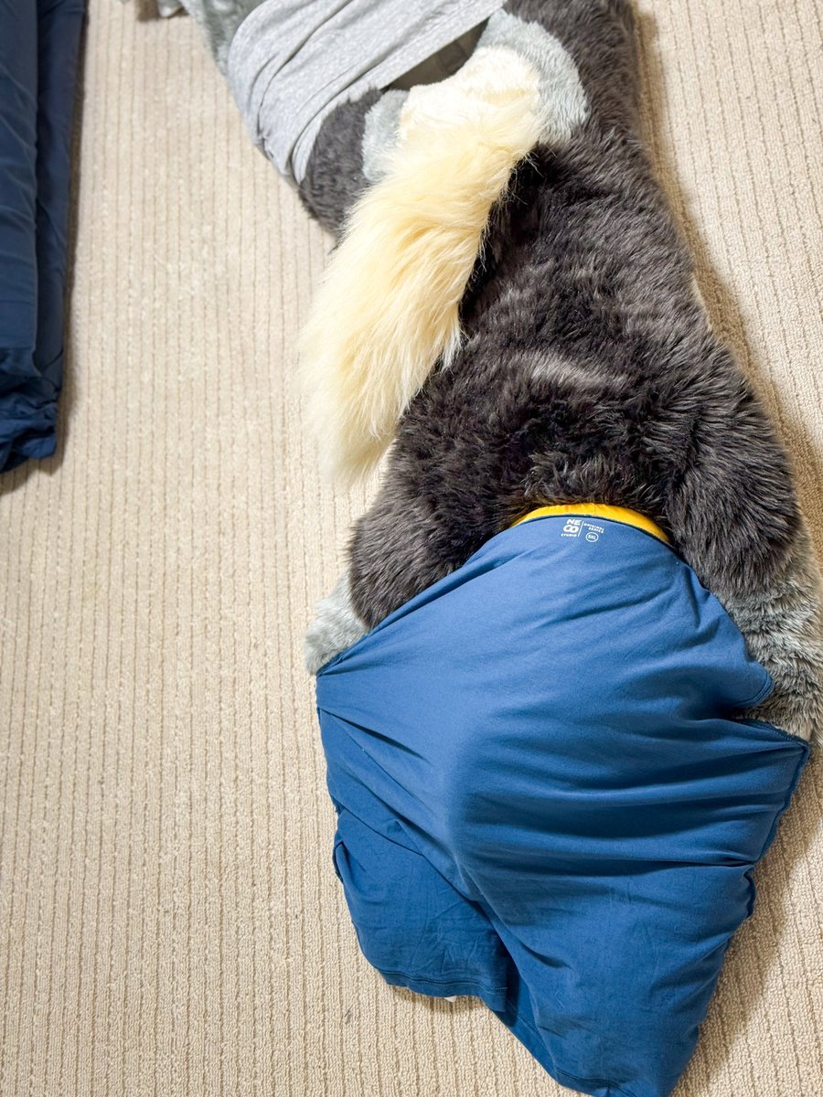 死因:服が脱げない

#FursuitFriday