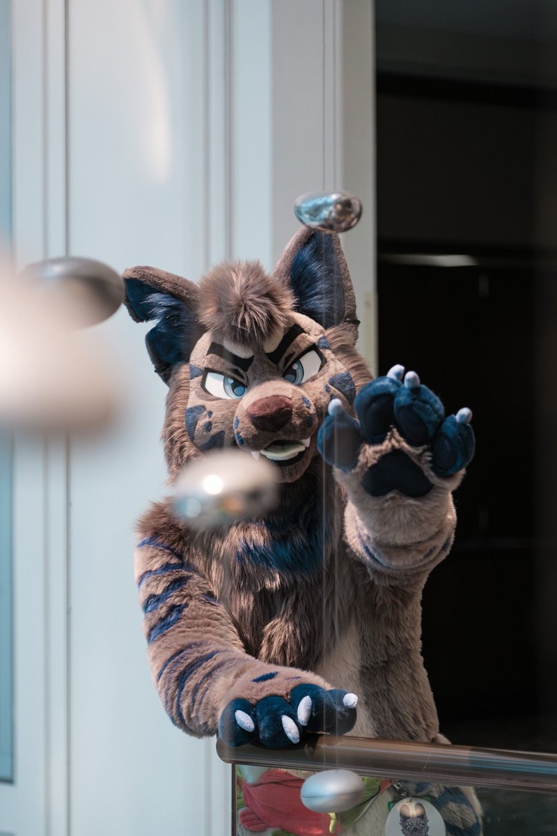 🥶MetroBoomerWantSumMore❄️LVFC (@yikesitsboomer) on Twitter photo I might be part fish cause I just have an instinct to chase after shiny objects
🪡 🧵 <a href="/WildcatCostumes/">Wildcat Costumes 🪡🐾</a>
📸 <a href="/butlerisatiger/">Butler 🛸 FD</a>
#FursuitFriday I might be part fish cause I just have an instinct to chase after shiny objects
🪡 🧵 <a href="/WildcatCostumes/">Wildcat Costumes 🪡🐾</a>
📸 <a href="/butlerisatiger/">Butler 🛸 FD</a>
#FursuitFriday