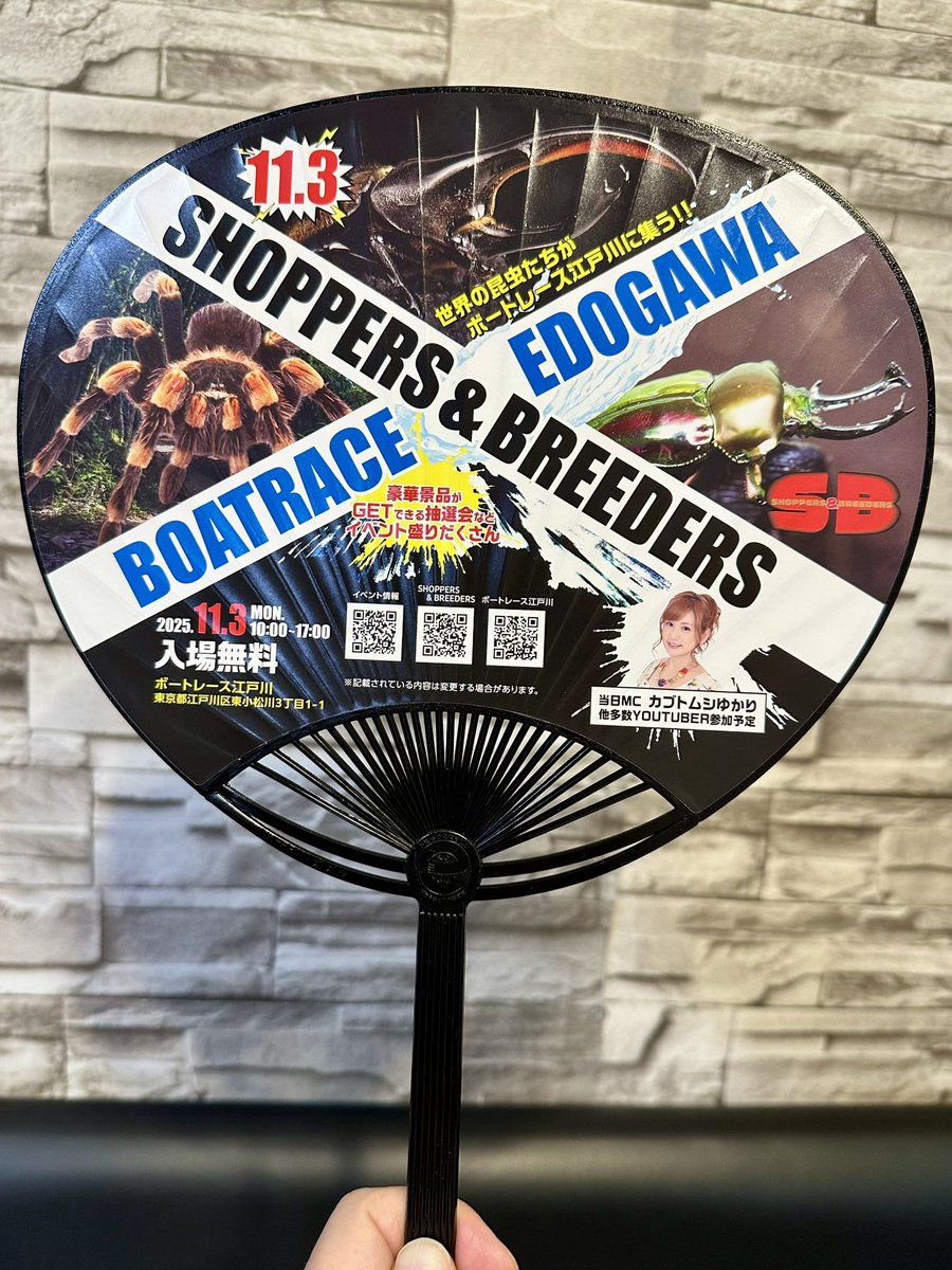 SB出展 - অনুসন্ধান / X