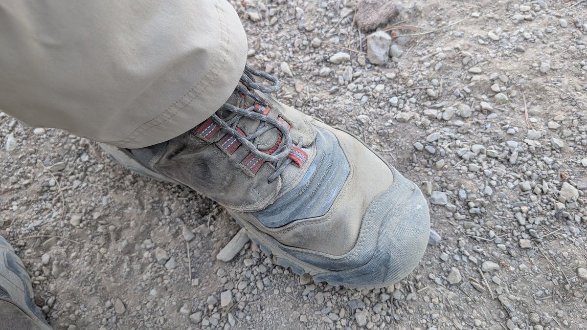 JDubb 🔶 tweet media