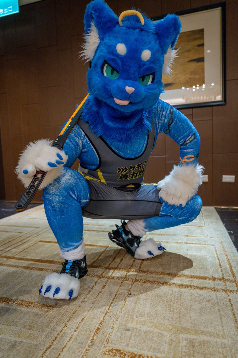 UminekoFursuit's tweet image. 【Umineko 海貓】
Yo! Yeah, you! Get your ass over here!
After school, behind the gym. Don’t show, and you’re gonna pay for it.
喂!欸你,過來!
放學到體育館後面等我,敢不來你試試看!
📸: Chami Hsu
#FursuitFriday #Ardu