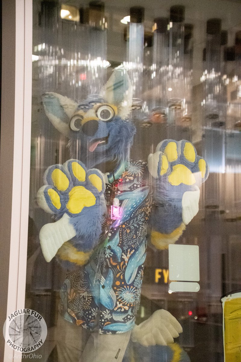 Zororeo! 🪽 (@zororeoowo) on Twitter photo ⚠️THE YOTE IS BREACHING CONTAINMENT ⚠️
#FursuitFriday #FursuitsFriday #Anthrohio #Anthrohio2025
📸: <a href="/RaindropJaguar/">Footrest🐾RaindropTheJaguar🐾Pawlover</a> ⚠️THE YOTE IS BREACHING CONTAINMENT ⚠️
#FursuitFriday #FursuitsFriday #Anthrohio #Anthrohio2025
📸: <a href="/RaindropJaguar/">Footrest🐾RaindropTheJaguar🐾Pawlover</a>