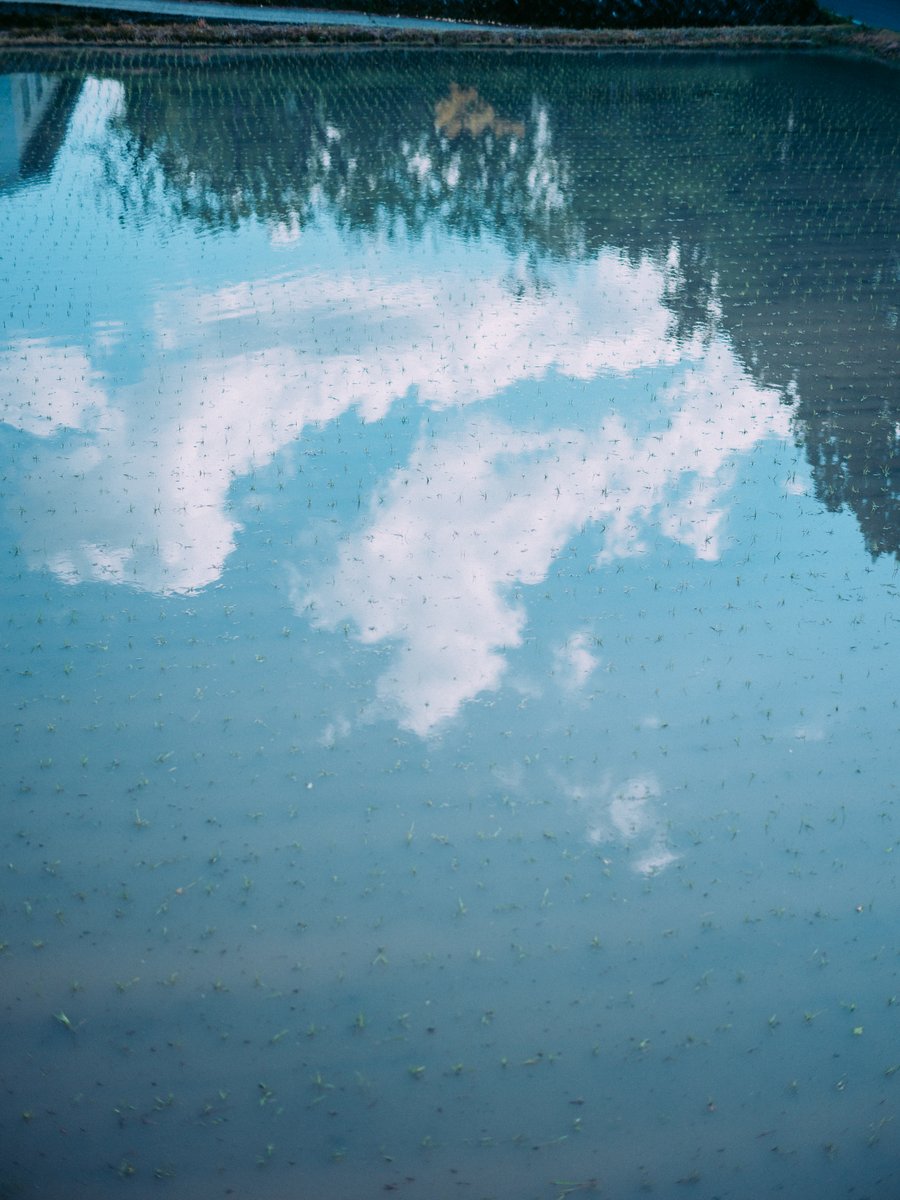 modulelab0's tweet image. 田舎ライフ[country side in japan] #日常 #散歩 #photography #GFX50r