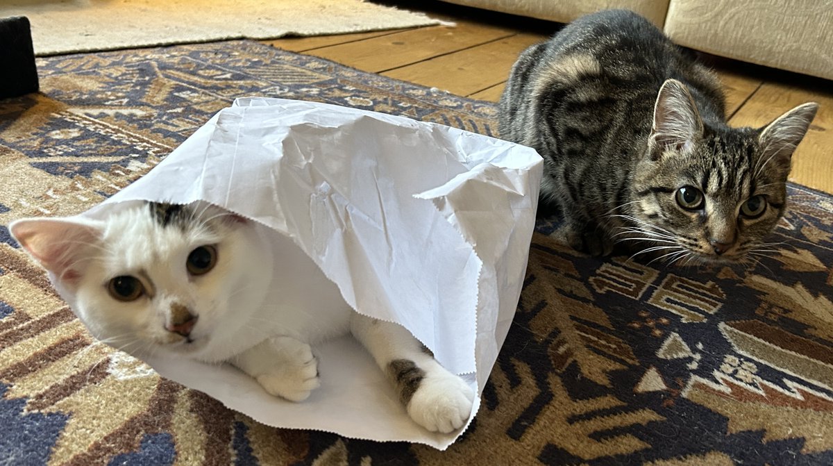 The Lochside Press tweet media