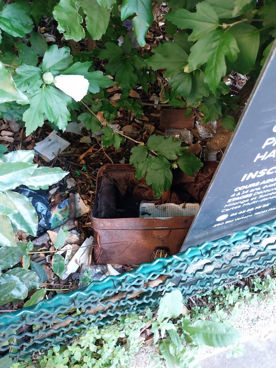 Dans le 11ᵉ arrondissement de Paris, les bandes végétales servent de supports publicitaires… et, de près, elles font aussi office de poubelles.
