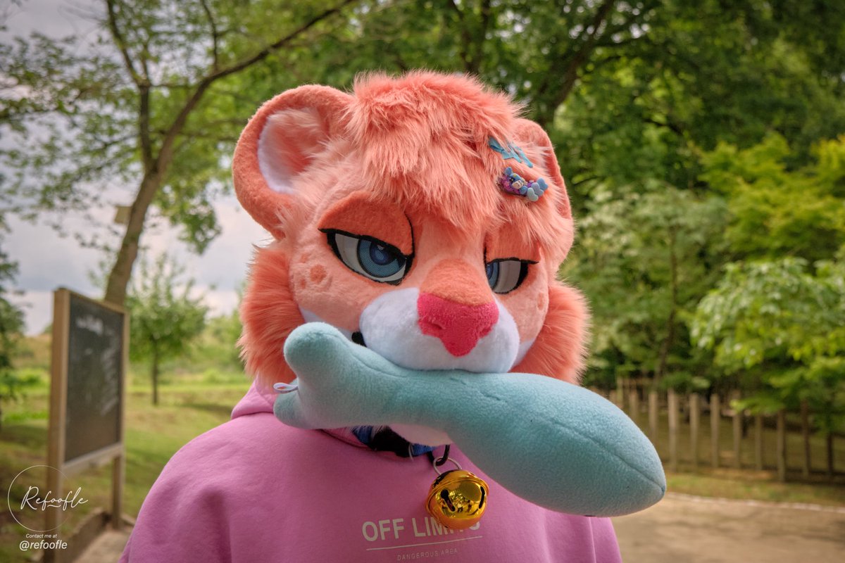 Just a kibby nibbling on a feeeeeesh 

(One of my favourite suit pictures so far :3)

📸: <a href="/Refoofle/">Foofles</a> 

#furry #fursuit #FursuitFriday