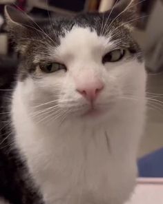 Когда 10 лет учил английский, выехал за границу, но у тебя так никто и не спросил какая столица Великобритании, какая погода и кто отсутствует в классе.