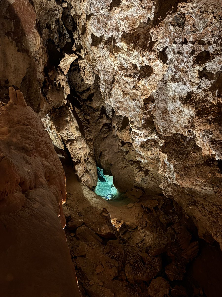 Les Cévennes de <a href="/dept_aveyron/">Département de l'Aveyron</a> et <a href="/lozeretourisme/">Lozère Tourisme</a> <a href="/DptLozere48/">Département de la Lozère</a> des départements quand même assez exceptionnels 🤩
Quelque chose de l’ordre du « conservatoire » : paysages, traditions, gastronomie… 
Chaque année, une madeleine tellement savoureuse pour moi. Pourvu que ça dure !