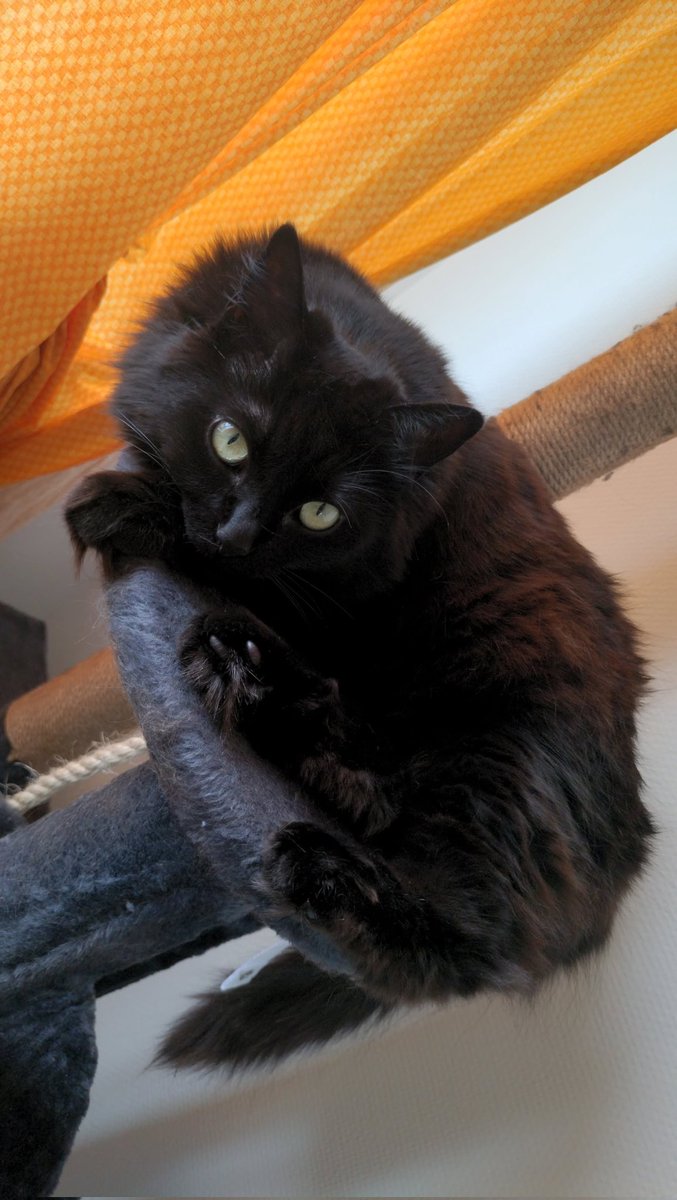 AnaL39753296's tweet image. Bonne fête à ma fille la plus belle du monde 💗💗💗