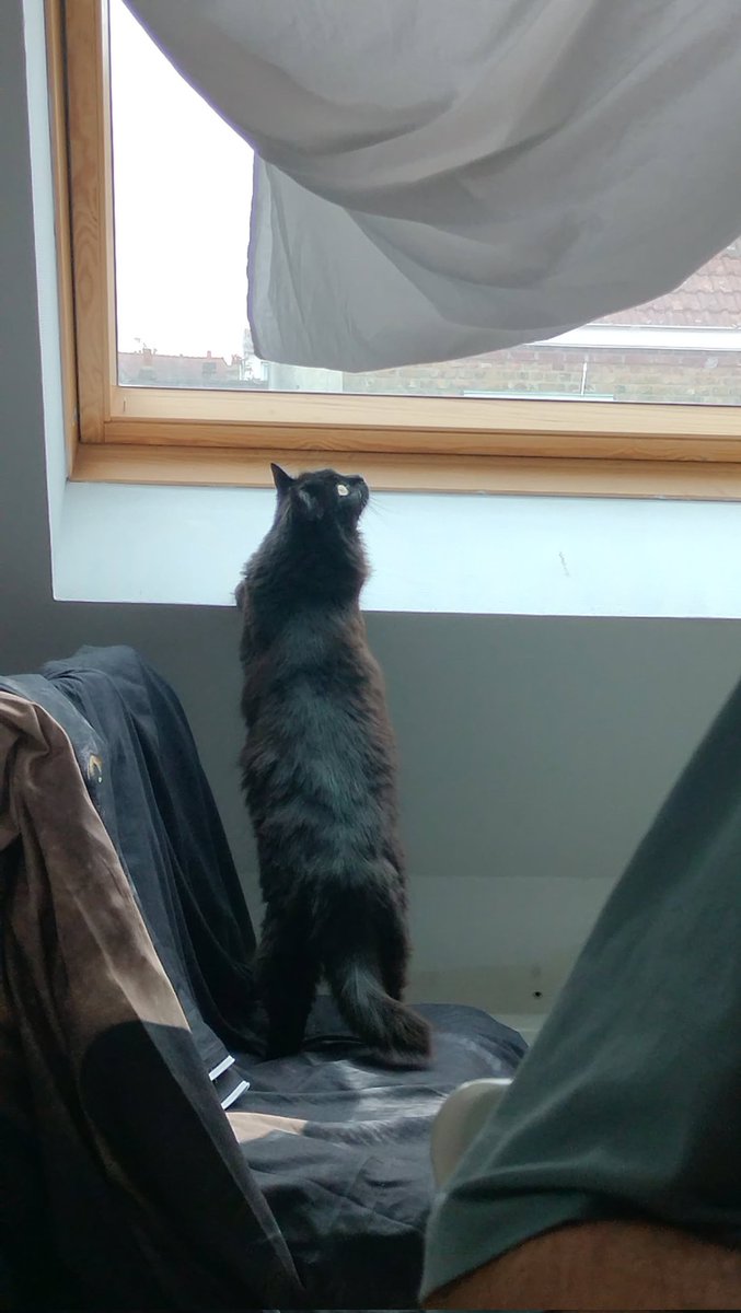 AnaL39753296's tweet image. Bonne fête à ma fille la plus belle du monde 💗💗💗