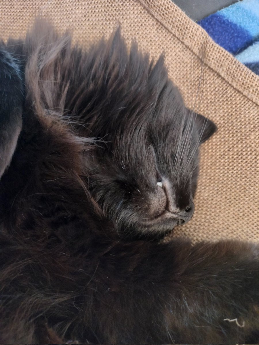 AnaL39753296's tweet image. Bonne fête à ma fille la plus belle du monde 💗💗💗