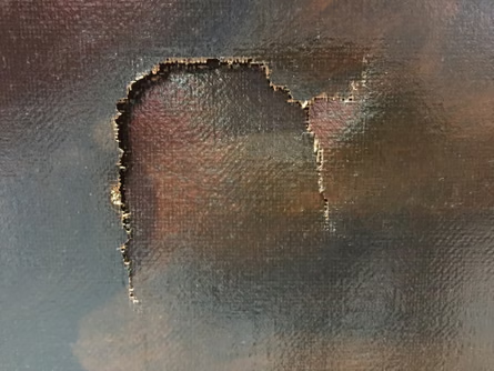 12-year-old boy trips and rips 17th-century painting "Flowers" by Paolo Porpora worth $1.5m at exhibition in Taiwan