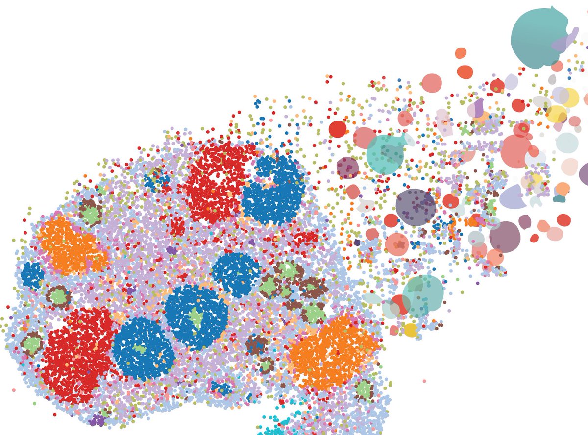 Hattie Chung (@hattaca) on Twitter photo Our lab at <a href="/YaleMed/">Yale School of Medicine</a> seeks #postdocs with in vivo expertise to pioneer research at the intersection of tissue remodeling & aging. Work with us to uncover immunological & vascular drivers of ovarian aging, applying single-cell, spatial omics, and ML! Our lab at <a href="/YaleMed/">Yale School of Medicine</a> seeks #postdocs with in vivo expertise to pioneer research at the intersection of tissue remodeling & aging. Work with us to uncover immunological & vascular drivers of ovarian aging, applying single-cell, spatial omics, and ML!