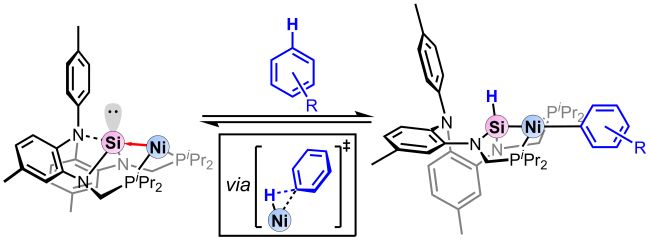 Reversible C–H Bond Activation of Unactivated Arenes by a Nickel-Silylene Complex pubs.acs.org/doi/10.1021/ja…
We are so proud of our first author Leon Gomm!  Lucky student to get their first paper in JACS.  Special thanks to Dr. Hui Zhu and Stefan Grimme for the DFT collab.
