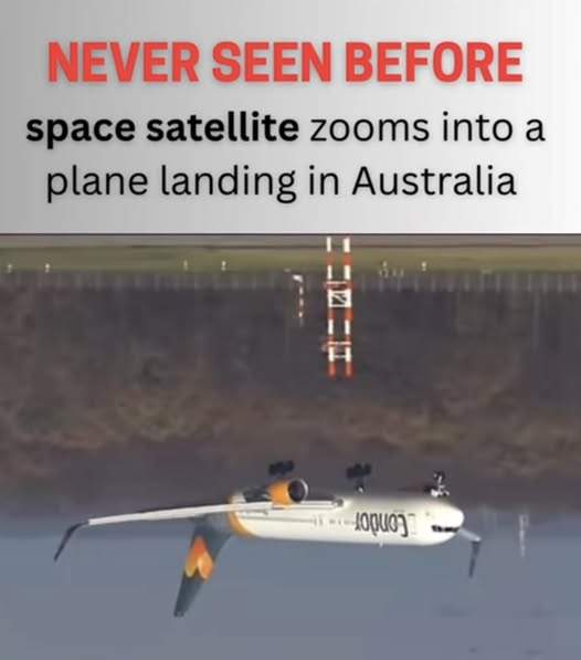 FLAT EARTH LIBRARY tweet media