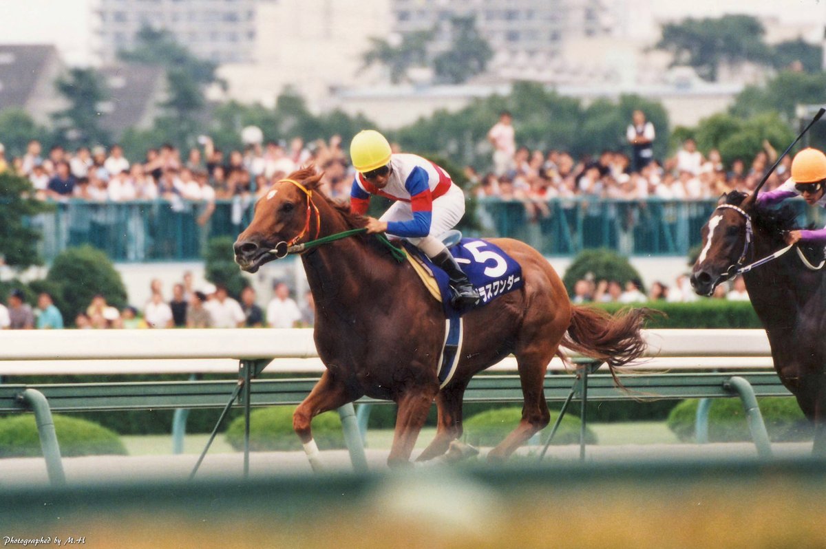 horse_memorys's tweet photo. お疲れさまでした、安らかに。 https://t.co/QFlz7fjHLB