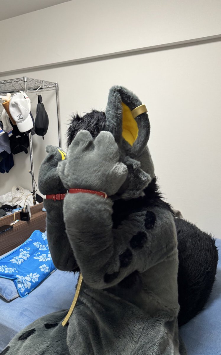 呜呜呜没脸见人了，你要负责！（？）
 #FursuitFriday