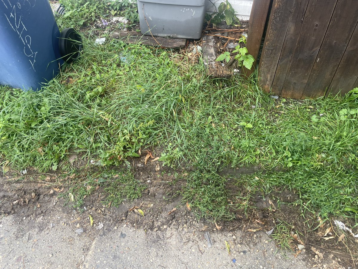 MezzaniMorris's tweet photo. @Beavertrucks please teach your drivers not to drive on people’s lawns.  So angry. https://t.co/z2tbrGUsZT