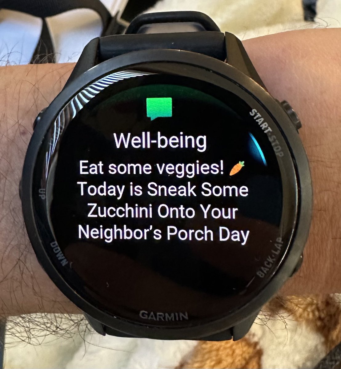 I rely on my Garmin watch to share important well-being tips