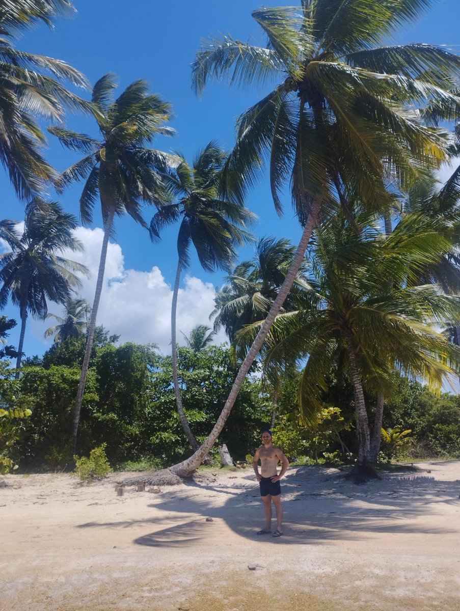 EfficiencyTI's tweet photo. En Efficiency estamos cerrados por vacaciones.

¡Un saludo desde República Dominicana (adjunto fotos)! 🇩🇴 🇩🇴 https://t.co/LcKYqrtqWl