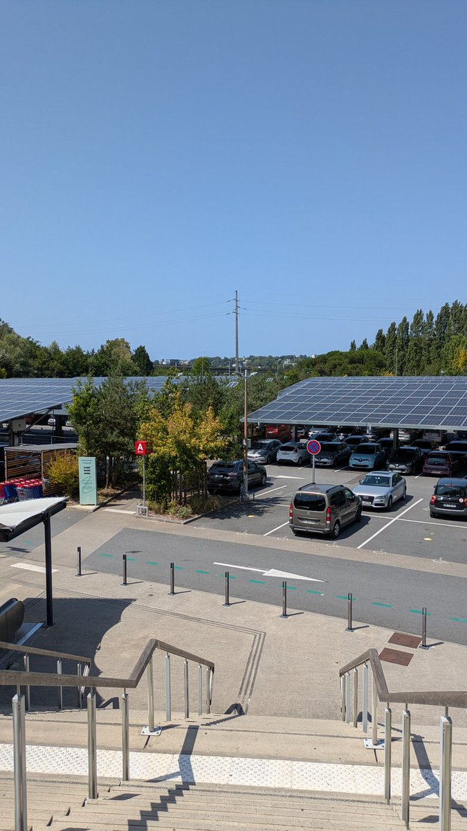 Antonio S.Montemayor tweet media