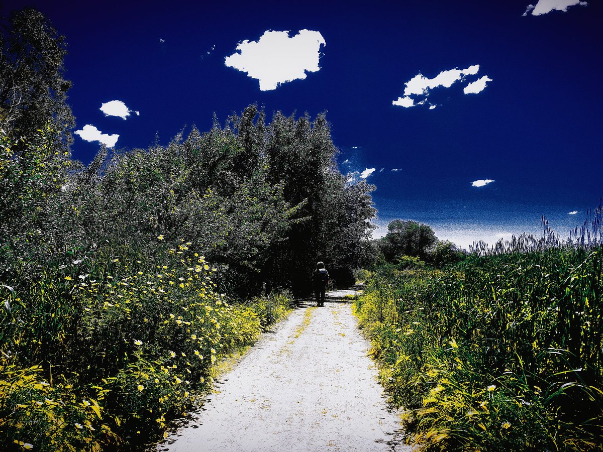 La imaginación no tiene límites.