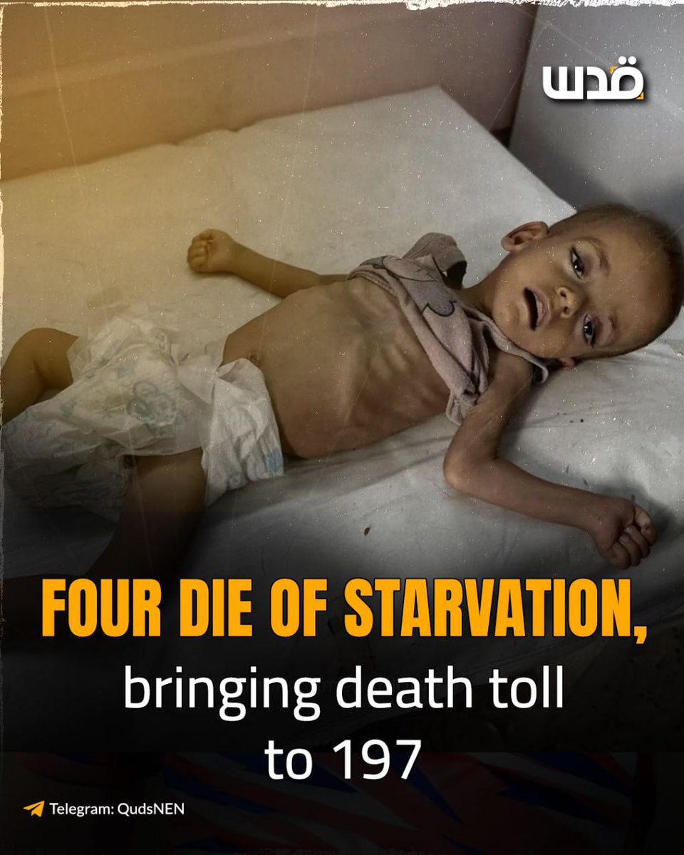 Empat orang lagi meninggal karena kelaparan di Gaza, sehingga jumlah total orang yang meninggal karena kelaparan dan terkena dampak pengepungan brutal Israel menjadi 197 orang, termasuk 96 anak-anak.

#Gaza #GazaGenocide #GazaStarving #GazaUnderAttack #FreePalestine