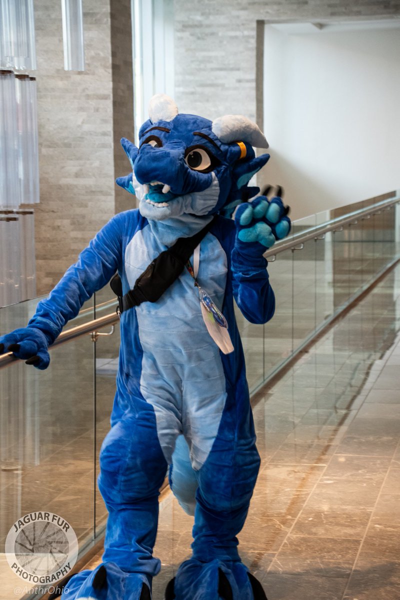 Hiya! How's it going?

Happy #FursuitFriday

📸: jaguarfurphotography

#furry #fursuiter #kobold #dragon