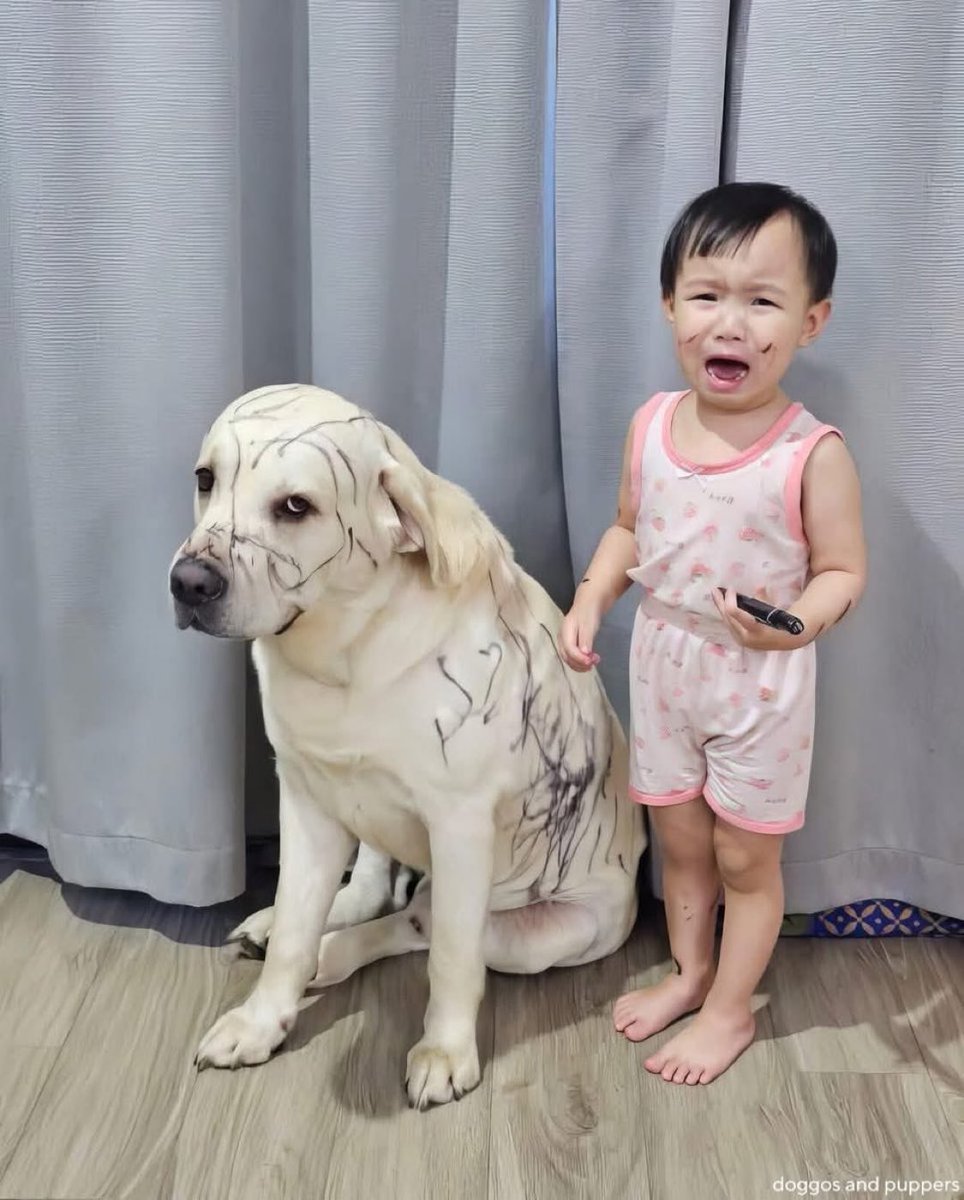 Ankur Sangoi tweet media