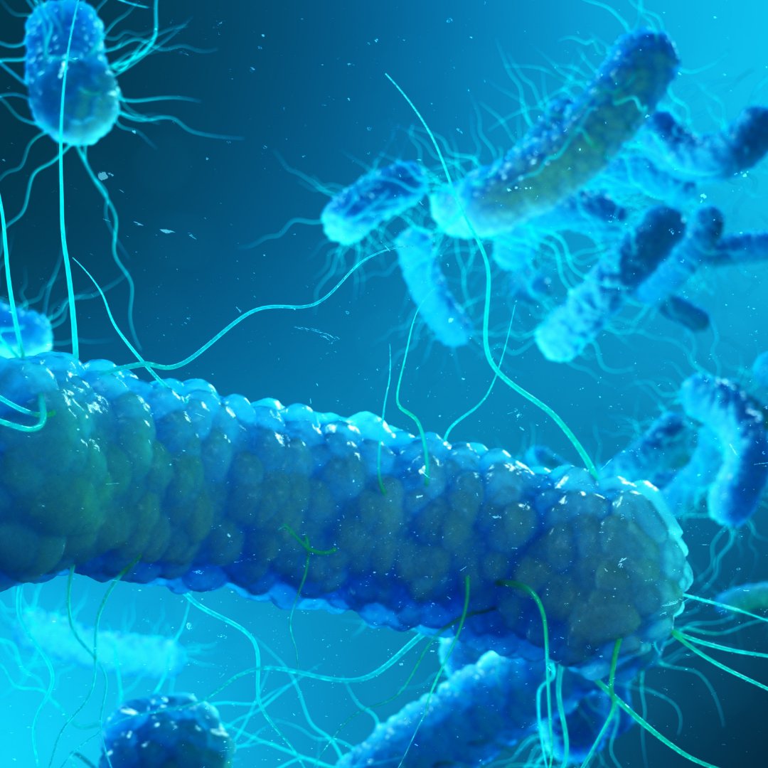 Legionnaires’ Deaths Trigger Calls for Safety
tinyurl.com/4txartex
