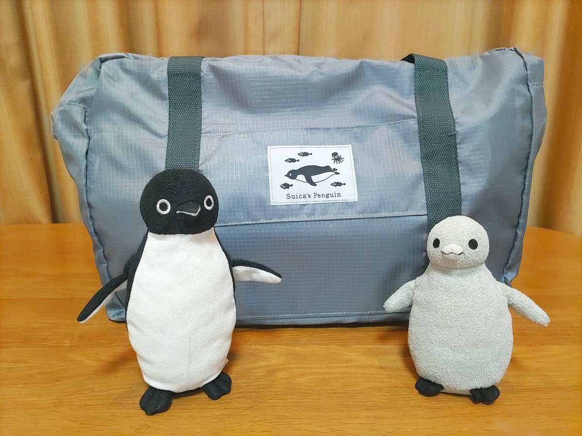 Suicaのペンギン サマーセット2025 スイムセット