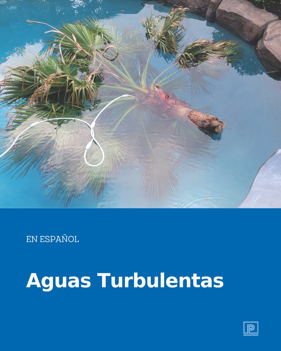 PoolProMag's tweet image. La preparación para las tormentas es esencial, no solo para la tranquilidad sino también para la eficiencia una vez que pase la tormenta.

Leer más: poolpromag.com/aguas-turbulen…

#PoolPro #espanol