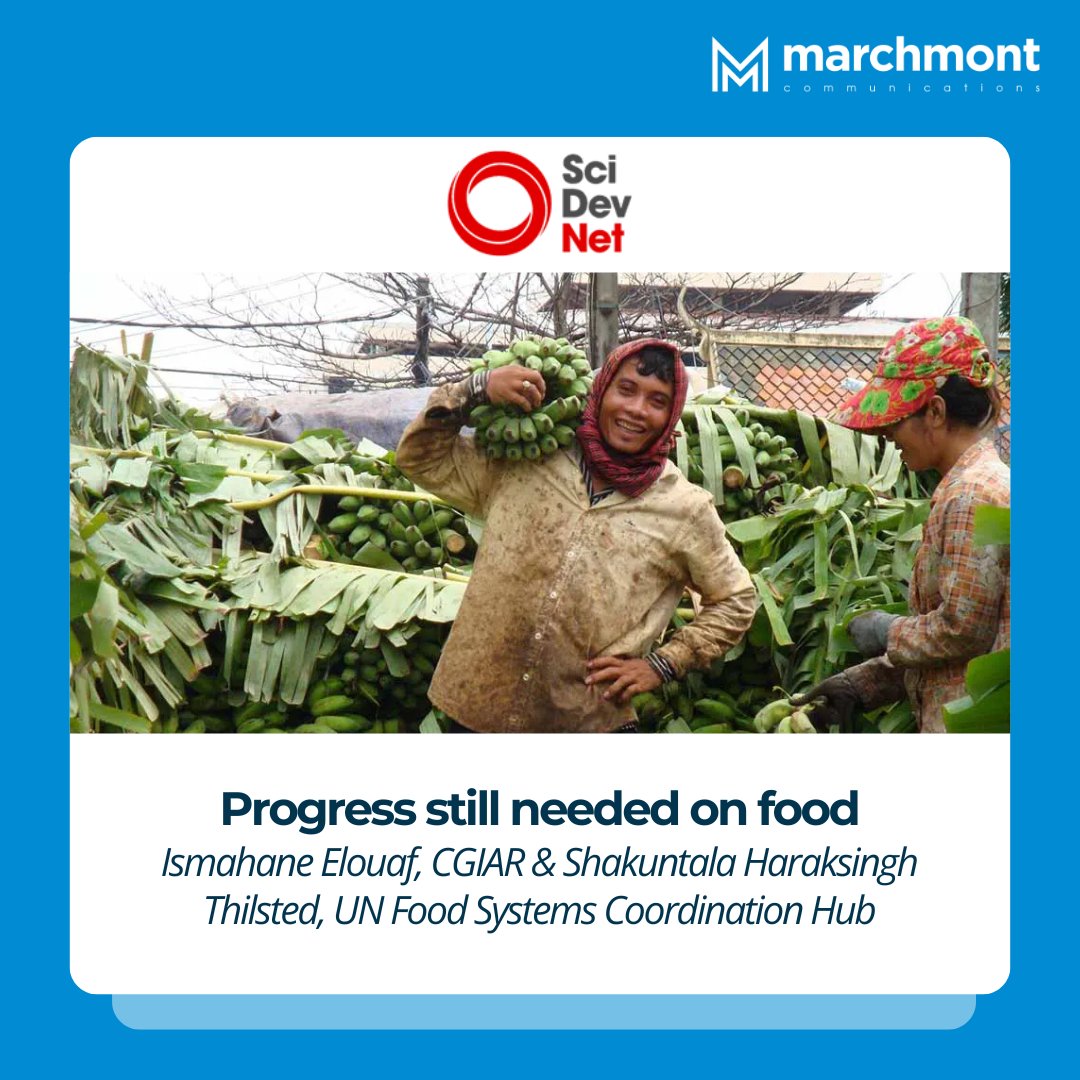 With the right investments, #FoodSystems can boost #nutrition, #health, #gender equality &amp; resilience, says <a href="/IsmahaneElouafi/">Ismahane Elouafi</a> &amp; <a href="/trinidad1949/">Shakuntala Haraksingh Thilsted</a>.

Integrated solutions linking food &amp; climate are key. Learn how in <a href="/SciDevNet/">SciDev.Net</a> 👇🏾 
bit.ly/3IXRDEe

<a href="/CGIAR/">CGIAR</a> | <a href="/FoodSystems/">UN Food Systems Coordination Hub</a>