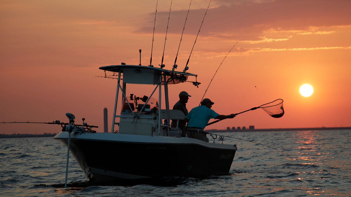 Capital City/Lake Murray Country (@lakemurrayctry) on Twitter photo August is National Fishing Month! Whether you’re casting a line from the shore or out on a boat, there’s fun to be had for anglers of all ages and skill levels. Make some memories by the water!
📸 <a href="/Discover_SC/">South Carolina</a>
#TopSouthernDestination #LakeMurrayCountry #JewelOfSC #DiscoverSC August is National Fishing Month! Whether you’re casting a line from the shore or out on a boat, there’s fun to be had for anglers of all ages and skill levels. Make some memories by the water!
📸 <a href="/Discover_SC/">South Carolina</a>
#TopSouthernDestination #LakeMurrayCountry #JewelOfSC #DiscoverSC