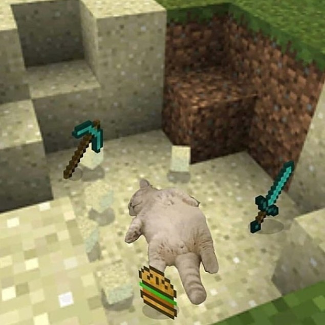 Zian🪄 (@make_a_sw) on Twitter photo 