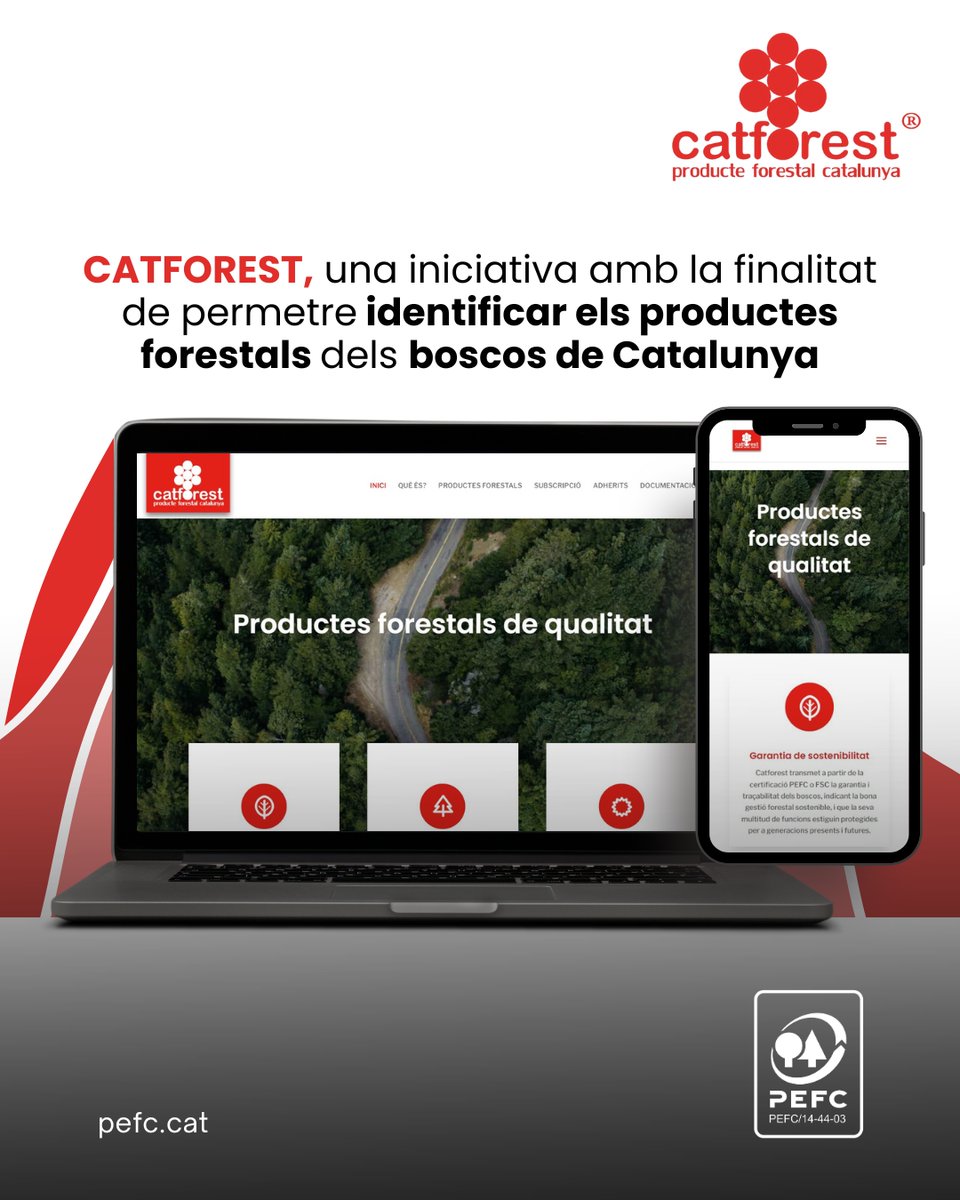 🌲 Garantia de #Sostenibilitat 🌱
🏡 Garantia de Proximitat 🌾
🔨 Garantia de Qualitat ✅
Amb Catforest, apostem pel futur dels nostres boscos, el teu entorn i la qualitat dels productes que utilitzes. 🌳 #Catforest #Sostenibilitat #Proximitat #Qualitat