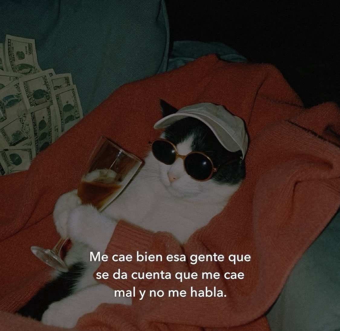 Bonito viernes a todos 🙃😌