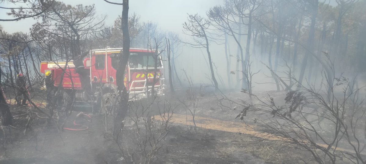 SDIS de Vaucluse-84 (@sdis84) on Twitter photo #renfort #feudeforet #Aude
Feu fixé💪! Au total, 200 #pompiers84 mobilisés aux côtés de <a href="/SDIS11OFFICIEL/">Pompiers de l'Aude - SDIS11</a> depuis le 05/08 : retour de la colonne84 engagée hier prévue ds la soirée, départ cet après-midi d'une relève de 2 cadres "feu de forêt". 🙏 à tous. 📷pompiers84
<a href="/Prefet84/">Préfet de Vaucluse</a> #renfort #feudeforet #Aude
Feu fixé💪! Au total, 200 #pompiers84 mobilisés aux côtés de <a href="/SDIS11OFFICIEL/">Pompiers de l'Aude - SDIS11</a> depuis le 05/08 : retour de la colonne84 engagée hier prévue ds la soirée, départ cet après-midi d'une relève de 2 cadres "feu de forêt". 🙏 à tous. 📷pompiers84
<a href="/Prefet84/">Préfet de Vaucluse</a>