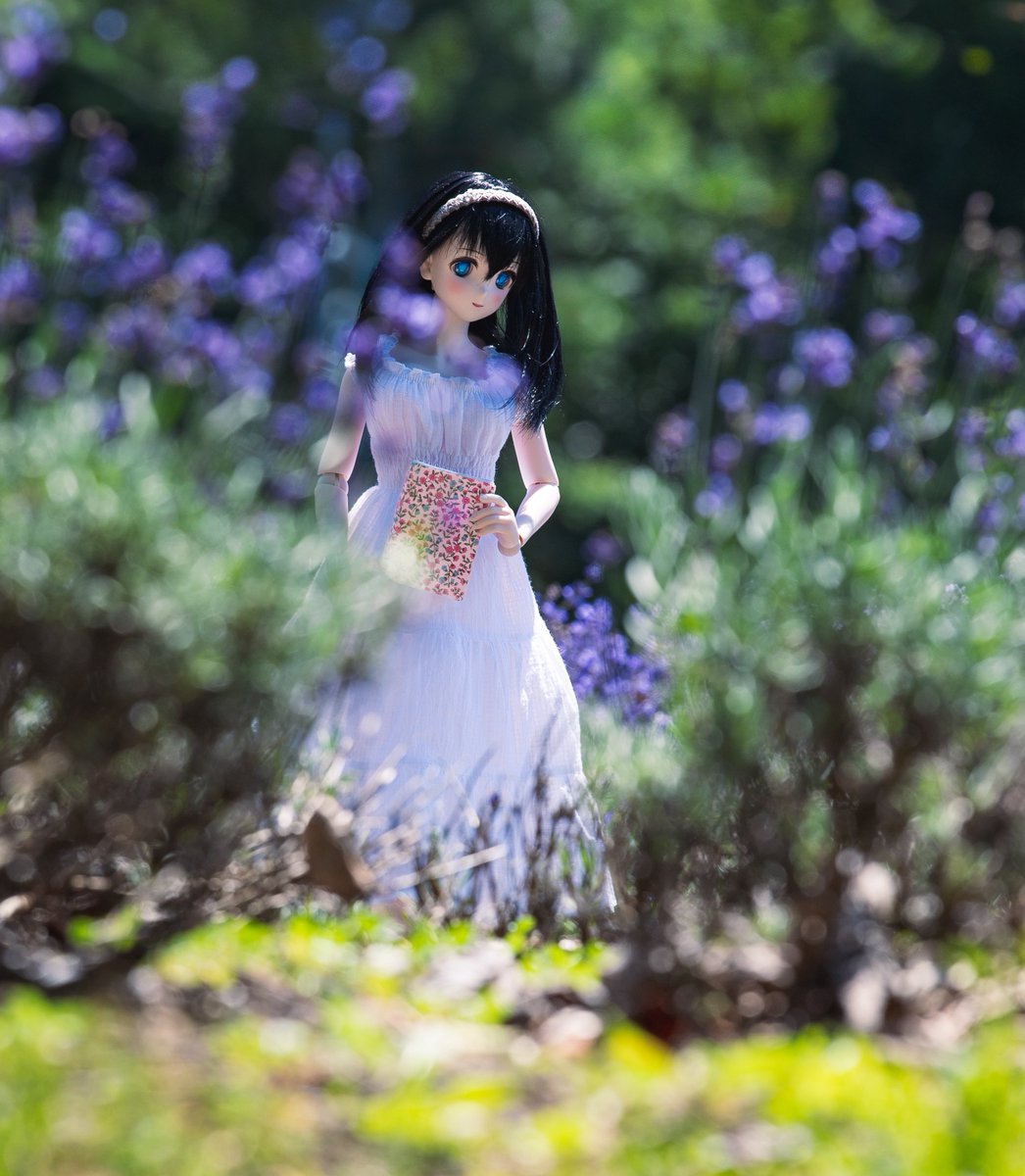 『ラベンダーメモワール』鷺沢文香

#鷺沢文香
#うちのこかわいい