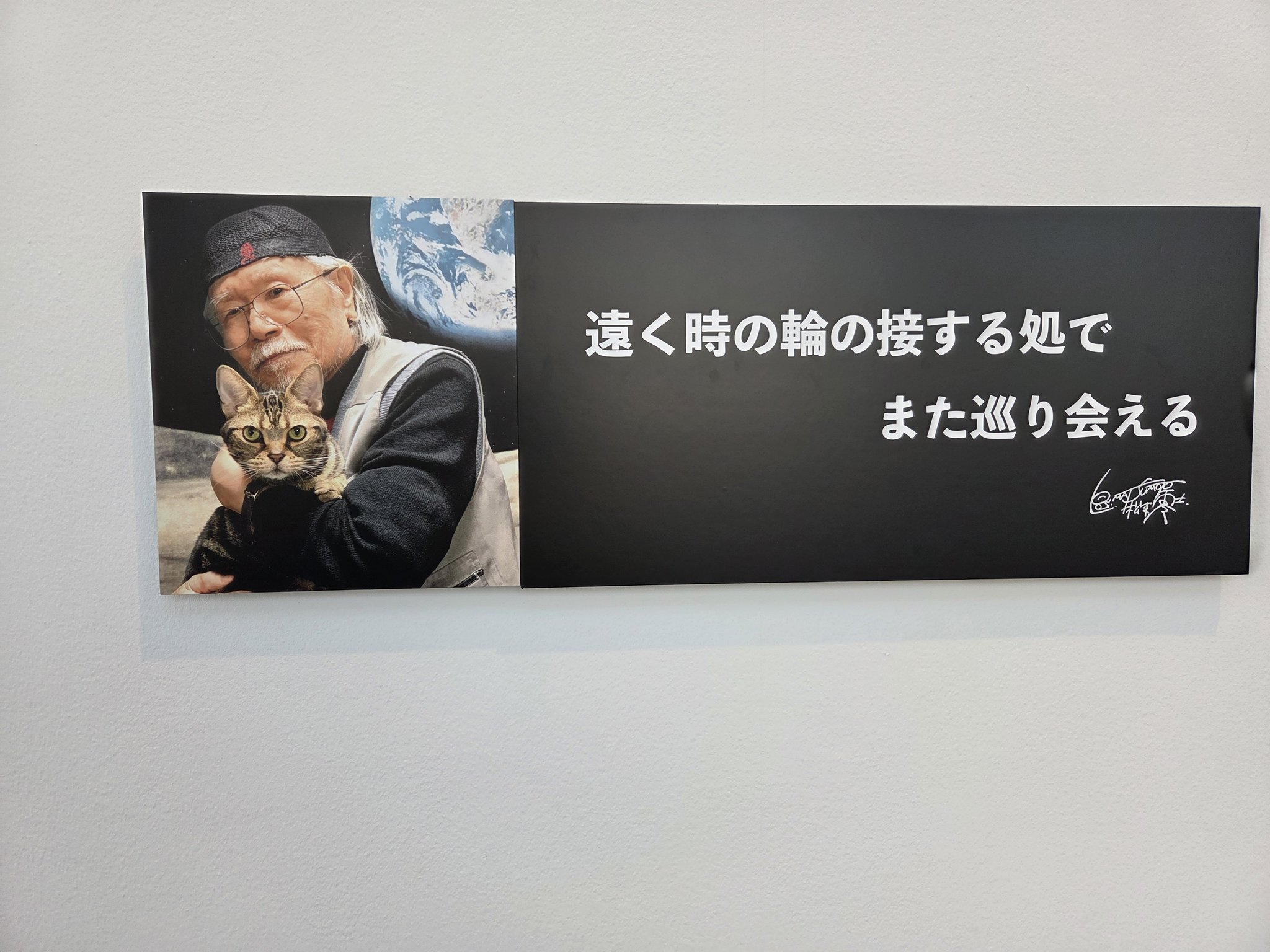 【未開封】松本城 通行手形 百年欅 風小僧 on X: 