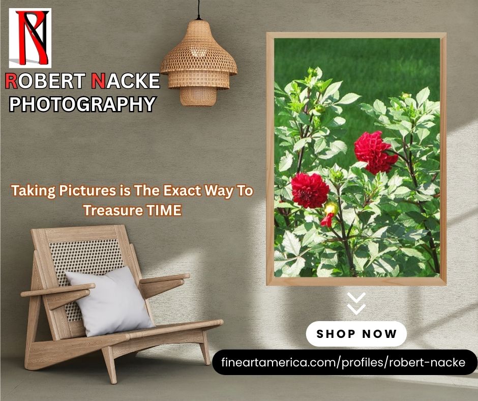 InkCraft Solutions : Where stories meet strategy (@inkcraft_sol) on Twitter photo <a href="/NackeRobert/">Robert Louis Nacke </a> <a href="/RockDoveArt/">Rock Dove Art</a> <a href="/ArtFalaxy/">ArtFalaxy</a>
Nature, peace, emotion, captured through the lens of Robert Nacke.
Discover wood prints, canvas art, and gifts that bring soul into your space.
🎨 Free returns | Global shipping
🔗 fineartamerica.com/profiles/rober…
#FineArt #NaturePhotography #WallArt <a href="/NackeRobert/">Robert Louis Nacke </a> <a href="/RockDoveArt/">Rock Dove Art</a> <a href="/ArtFalaxy/">ArtFalaxy</a>
Nature, peace, emotion, captured through the lens of Robert Nacke.
Discover wood prints, canvas art, and gifts that bring soul into your space.
🎨 Free returns | Global shipping
🔗 fineartamerica.com/profiles/rober…
#FineArt #NaturePhotography #WallArt