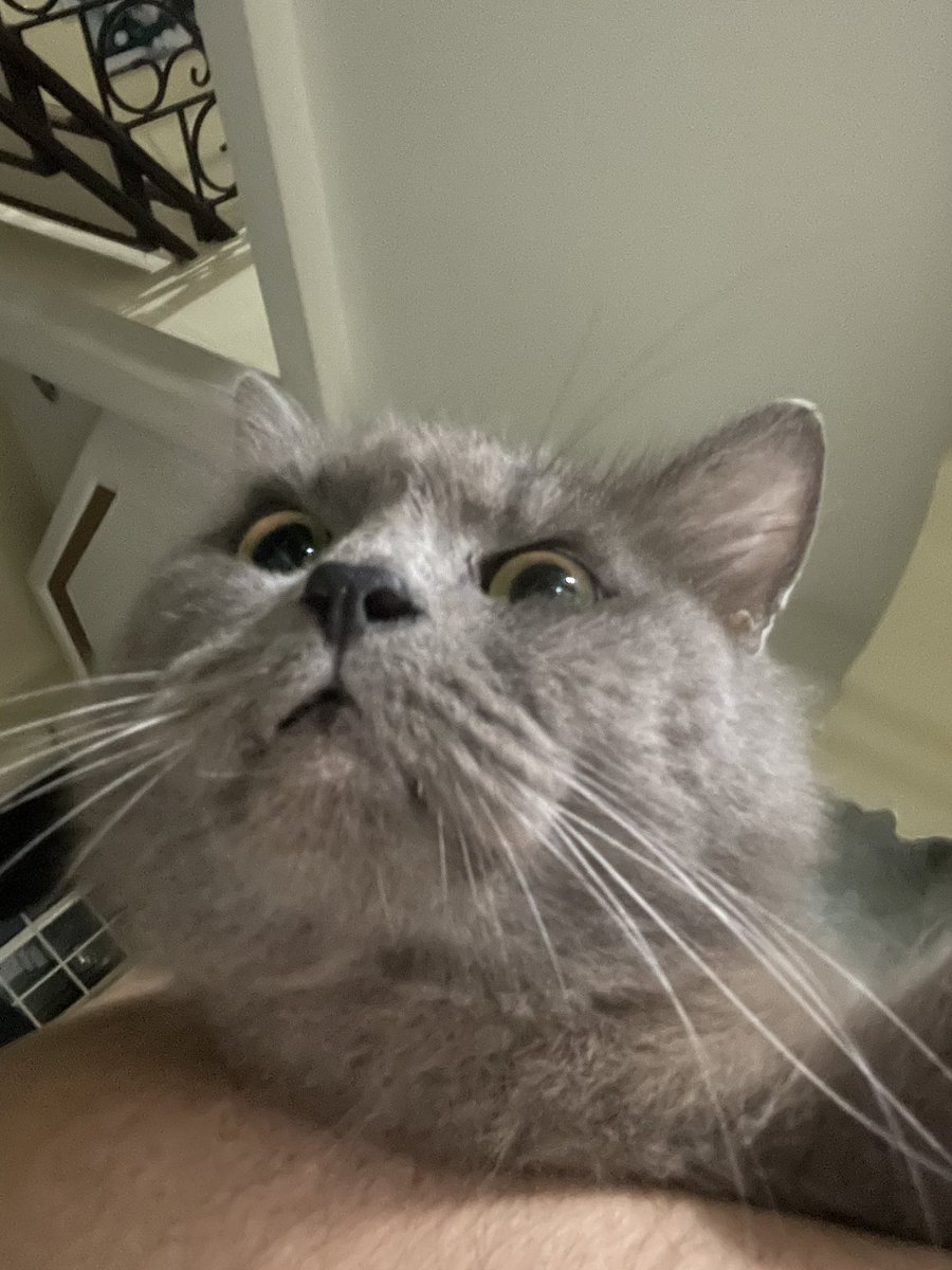 <a href="/inquirerdotnet/">Inquirer</a>