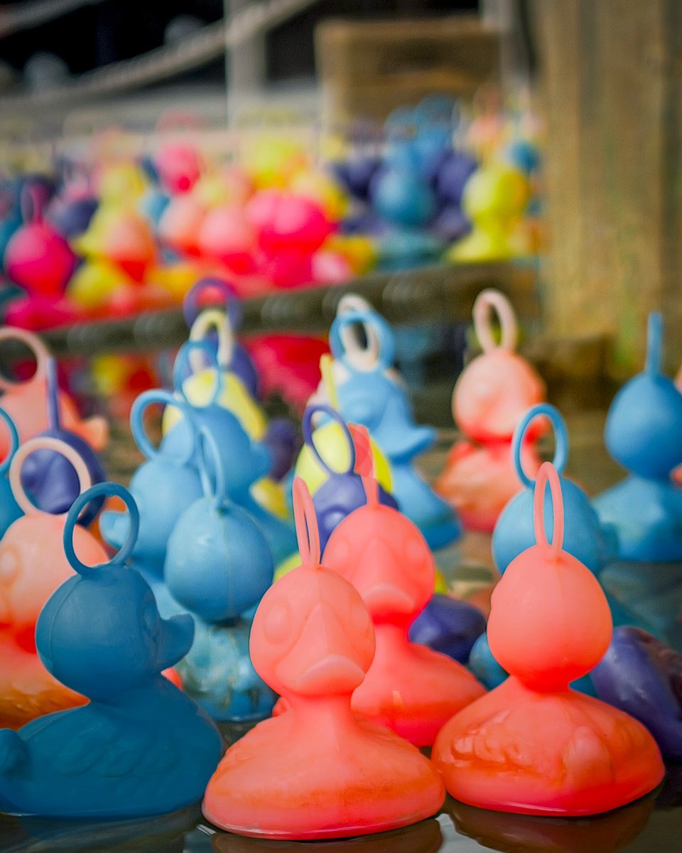 JardindAcclim's tweet image. Petits mais déjà grands explorateurs !
Au Jardin d'Acclimatation, les plus jeunes ont aussi droit à leur dose de magie !✨Chevaux galopants, Petit Carrousel, Toupie, ou encore Pêche aux Canards, tout est là pour leurs premières émotions grandeur nature.​ #sortiraparis