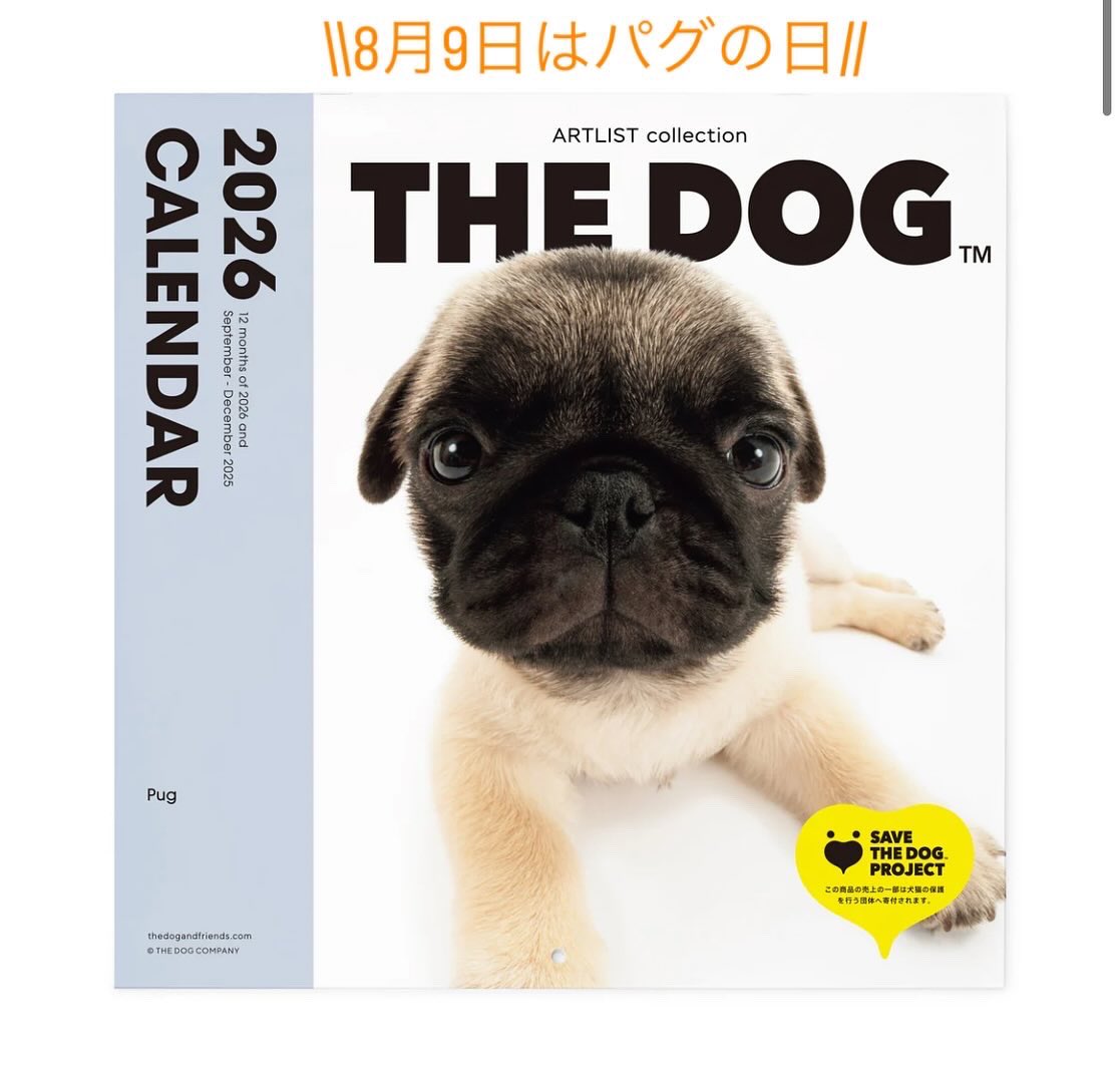 THE DOG and Friends on X: 