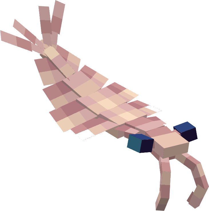 Reintroducing Laminacaris! 

Coming along with this fridays showcase is a juvenile laminacaris also! 

#Minecraft #Palaeontology #Blockbench #Laminacaris #Radiodonts